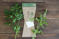 Trio of Herbs Gift of Seeds (Australia Only)