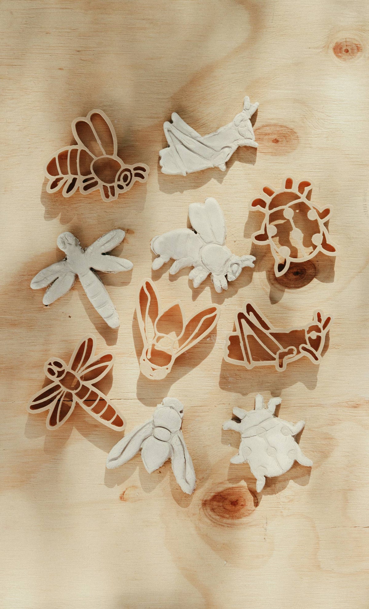 Mini Insect Eco Cutter™ Set