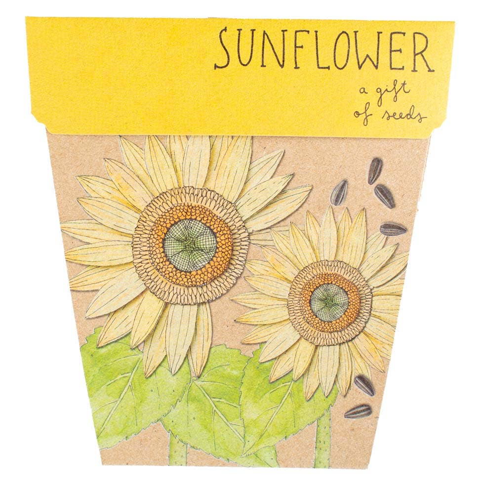 Sunflower Gift of Seeds (Australia Only)