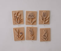 Australian Native Flower Playdough Eco Stamp Set