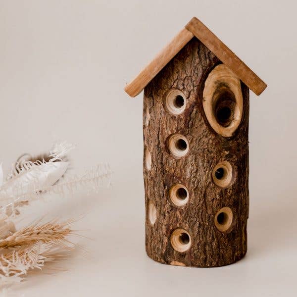 Lady Bug House