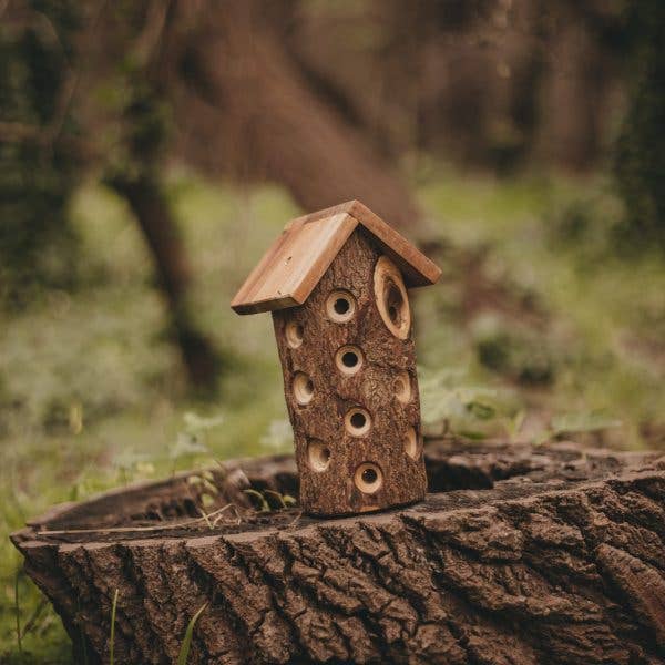 Lady Bug House